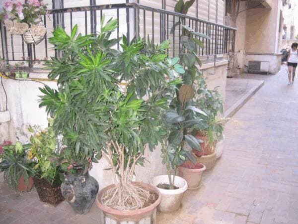 דירה 3 חדרים, גבעתיים 6863, גבעתיים