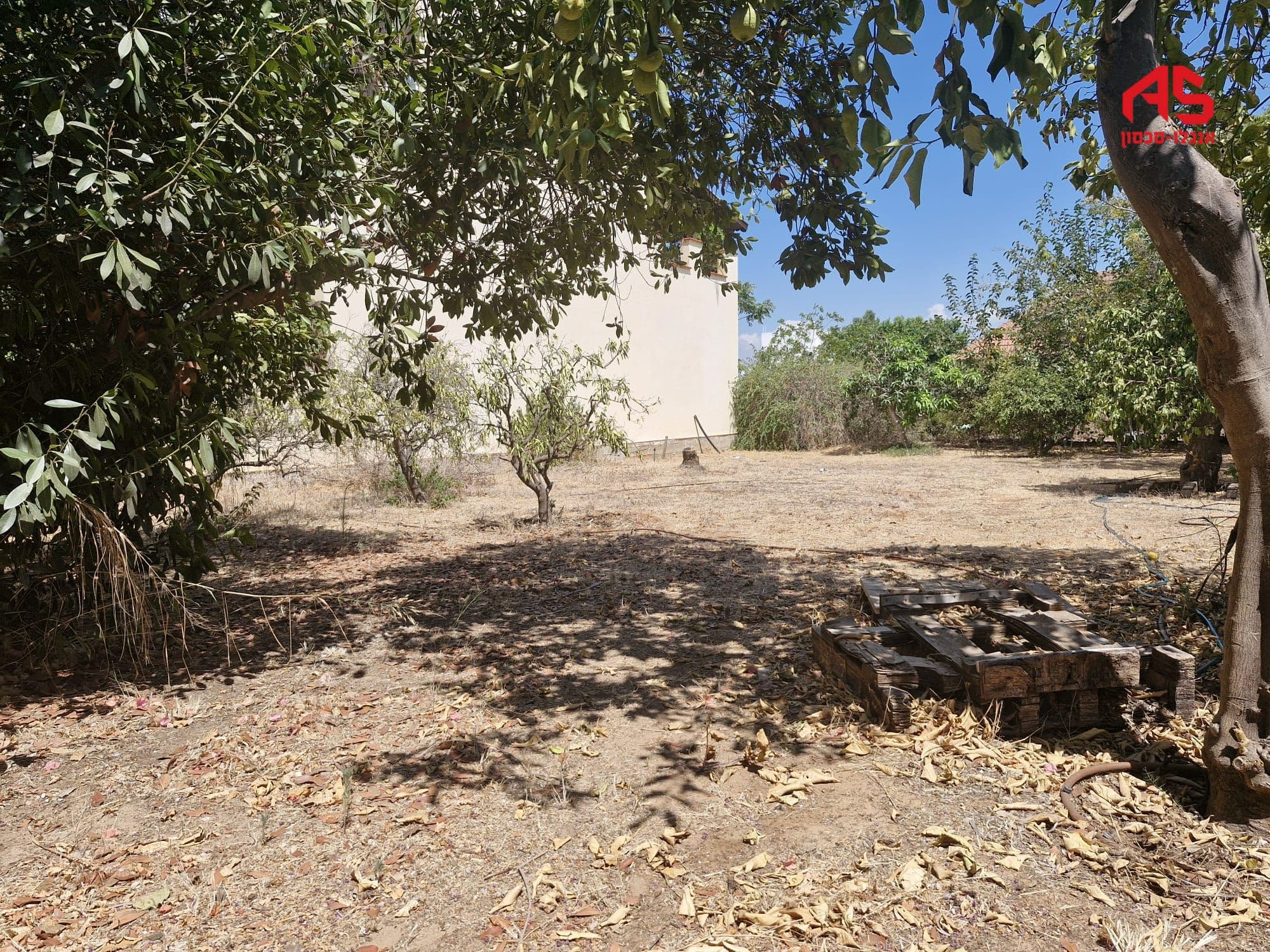 מגרש, ברנדייס, חדרה