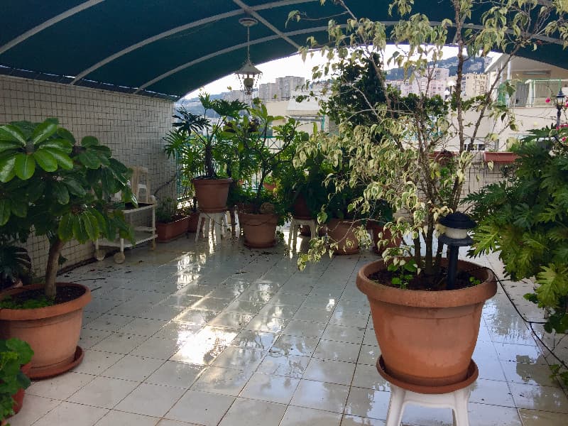 פנטהאוז 4.5 חדרים, הראל, רוממה, חיפה