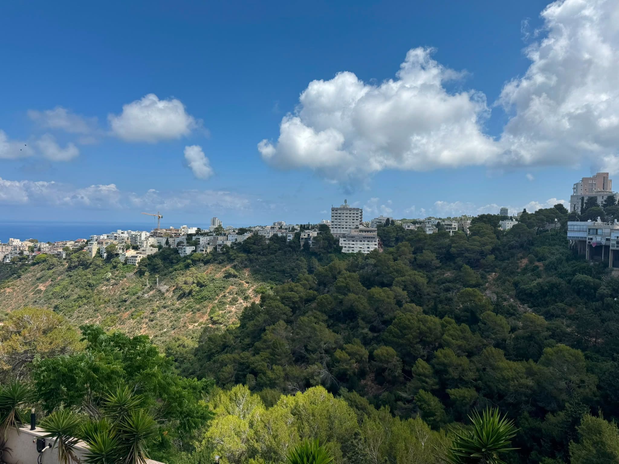 דירה 4 חדרים, תמונה 2