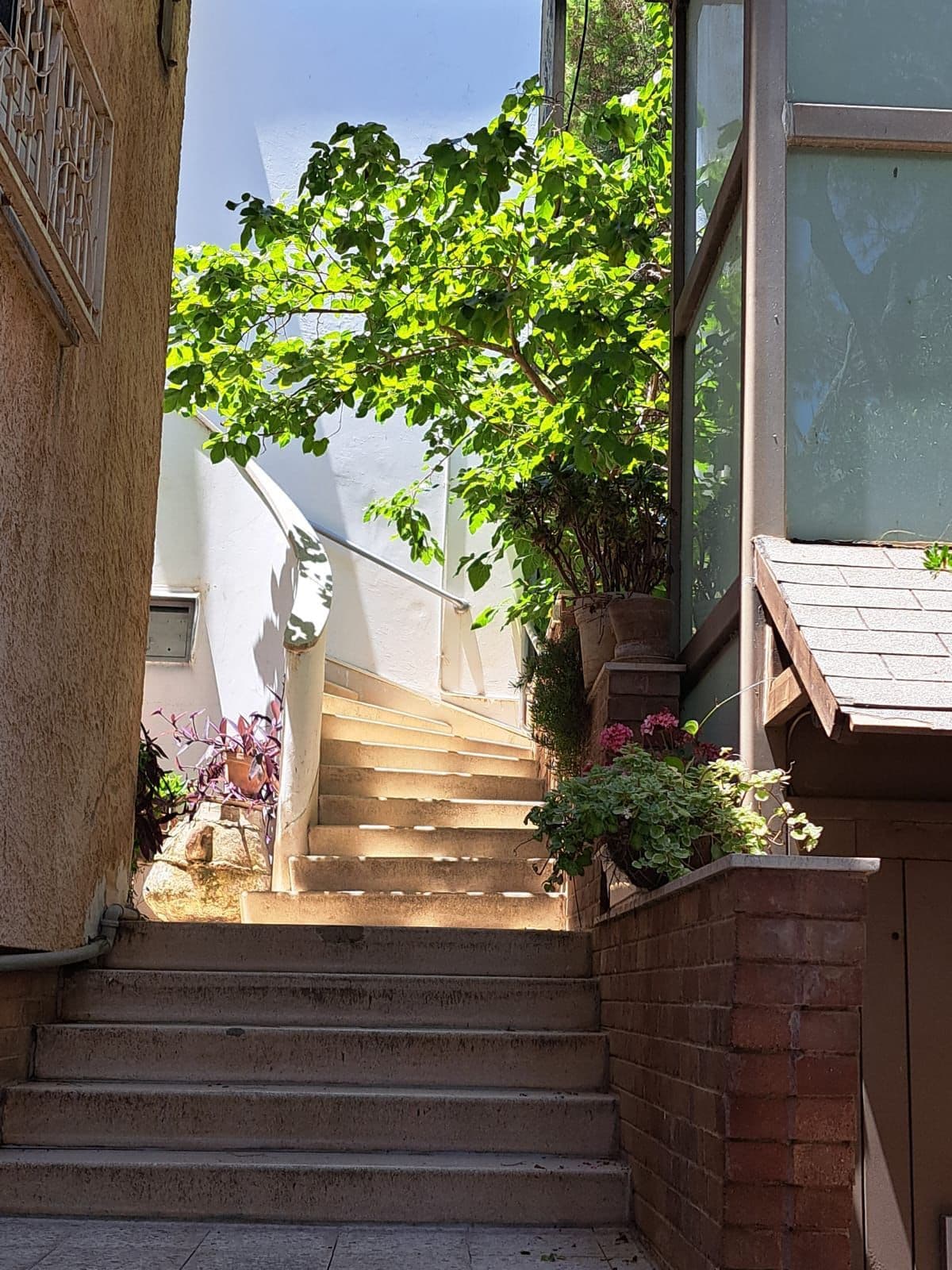 דירת גן 5 חדרים, גבעון, אחוזה, חיפה