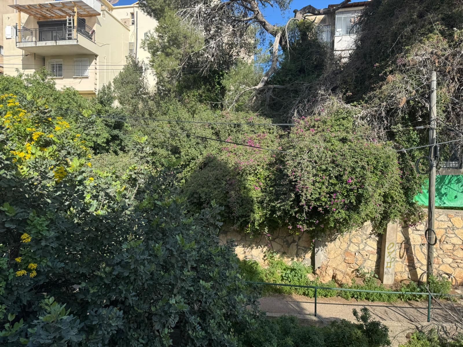 דירה 2 חדרים, תמונה 5