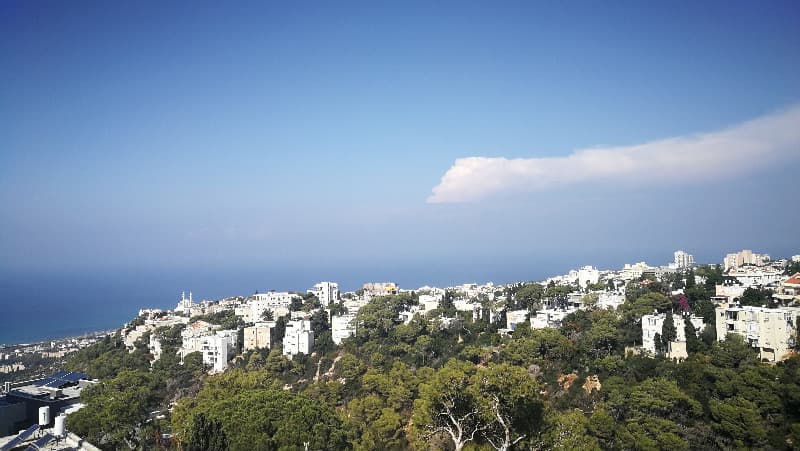דירה 4 חדרים, תמונה 4