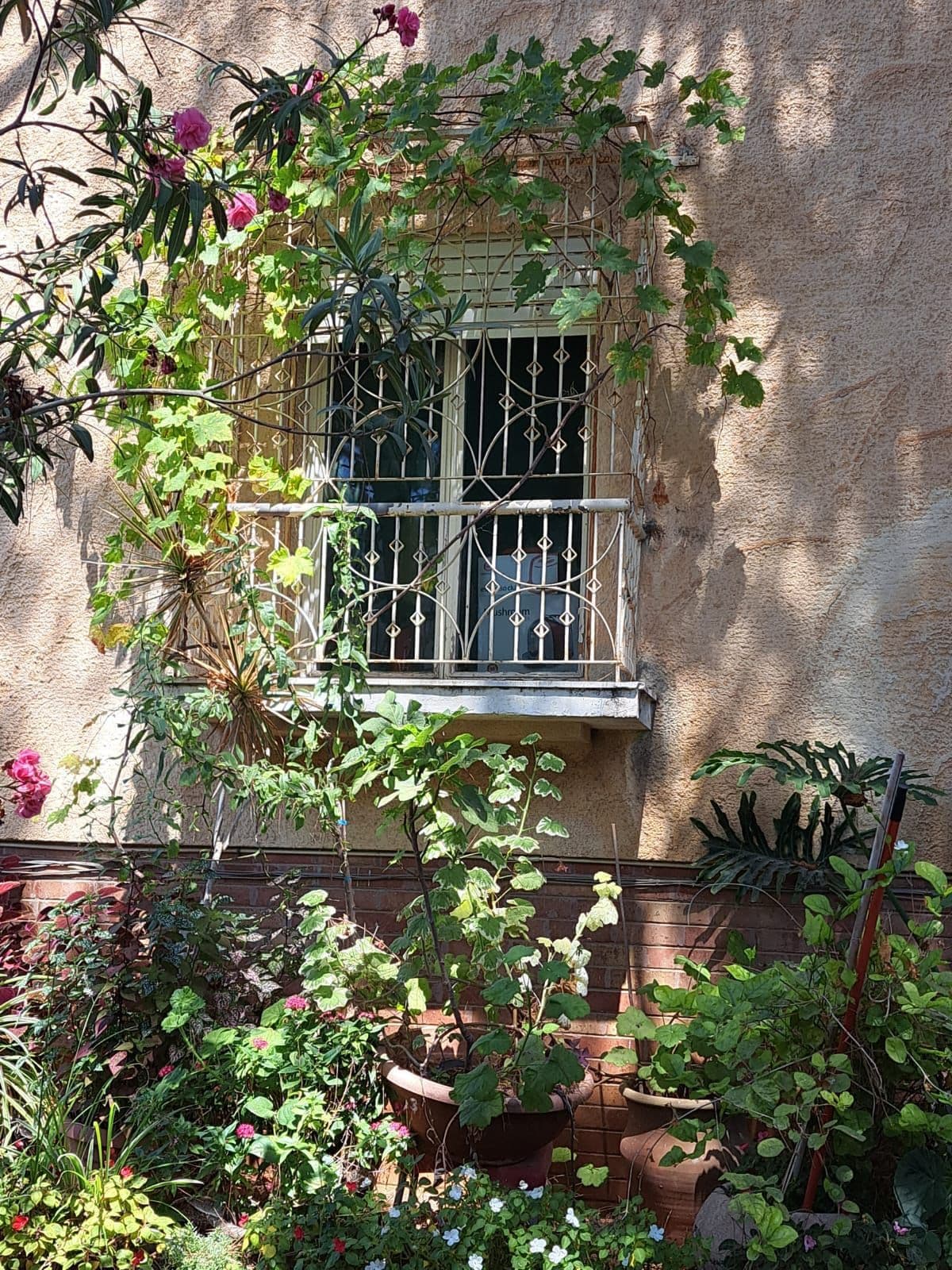 דירת גן 5 חדרים, תמונה 4