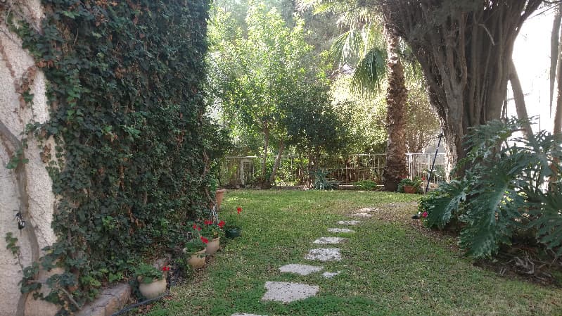 קוטג' 7 חדרים, תמונה 4