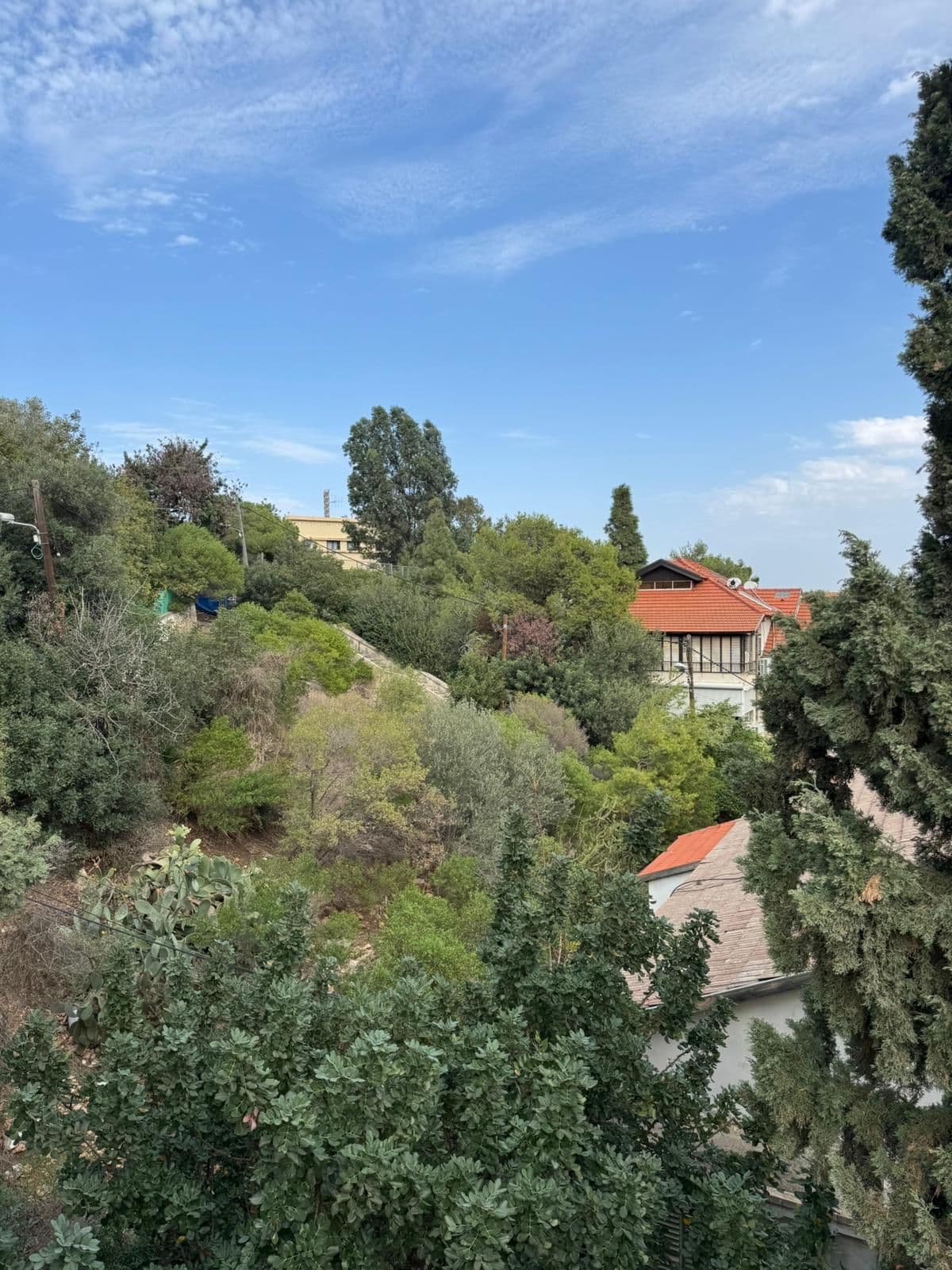 דירה 2 חדרים, תמונה 3