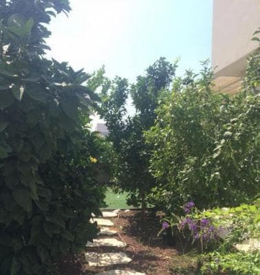 דו משפחתי 6 חדרים, תמונה 2