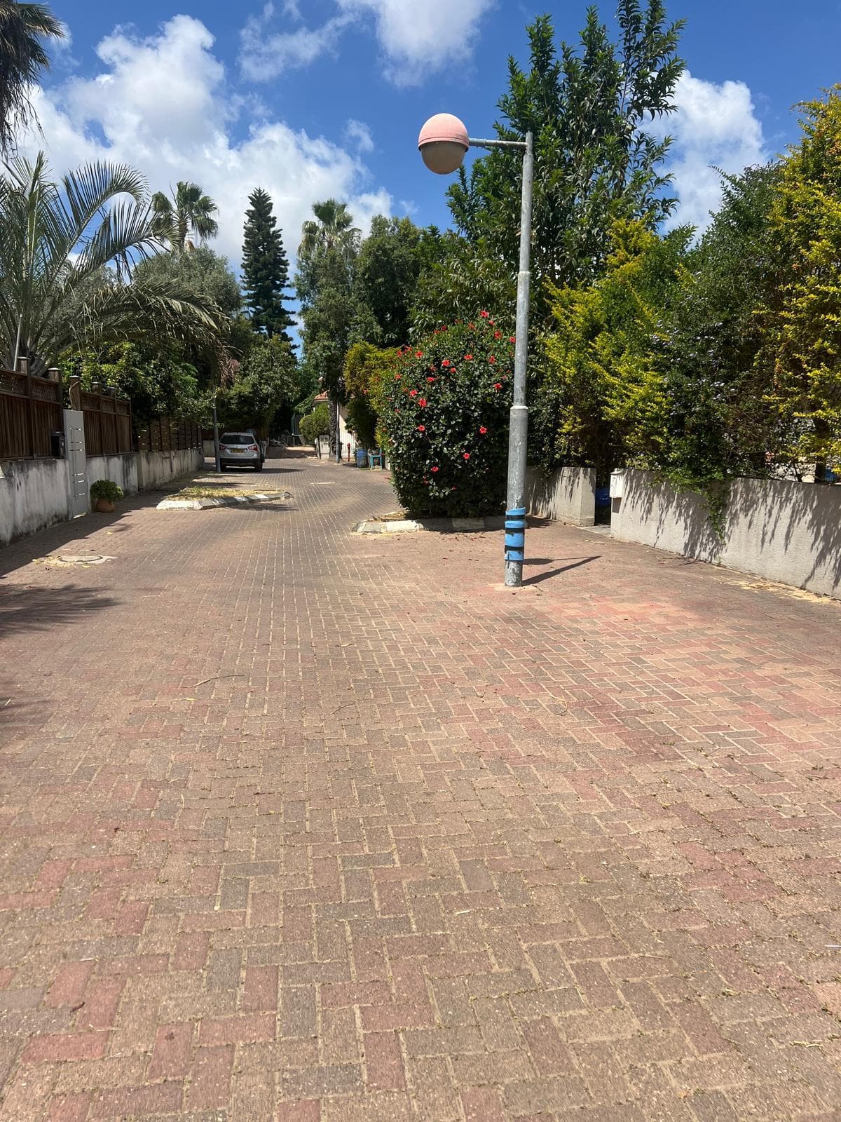 וילה 5.5 חדרים, תמונה 2