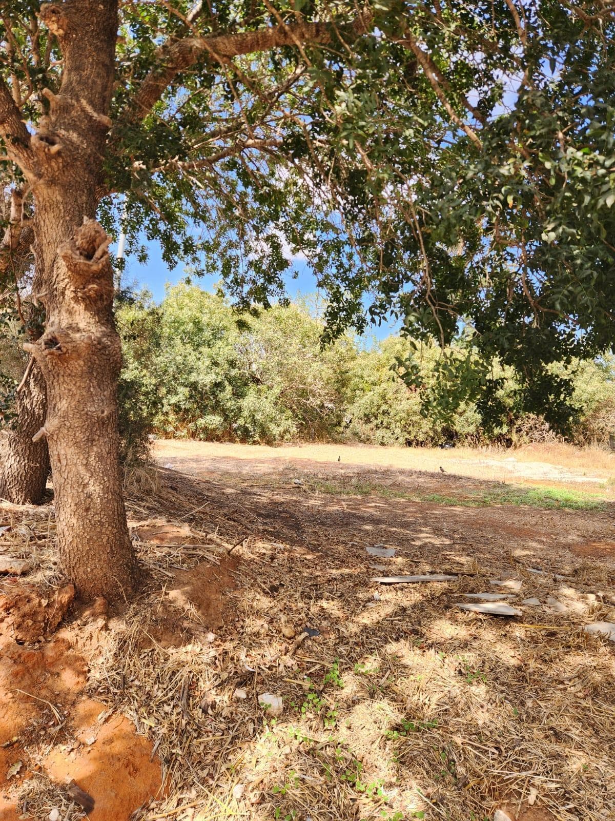 מגרש, תמונה 4
