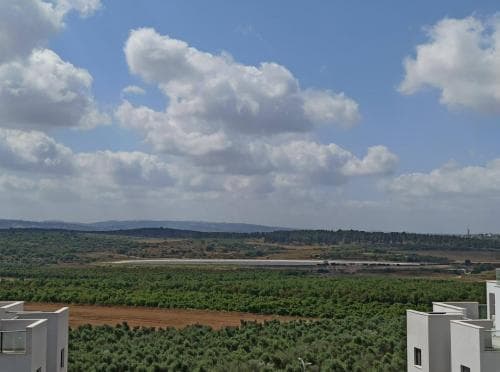 דירה 4 חדרים, תמונה 5