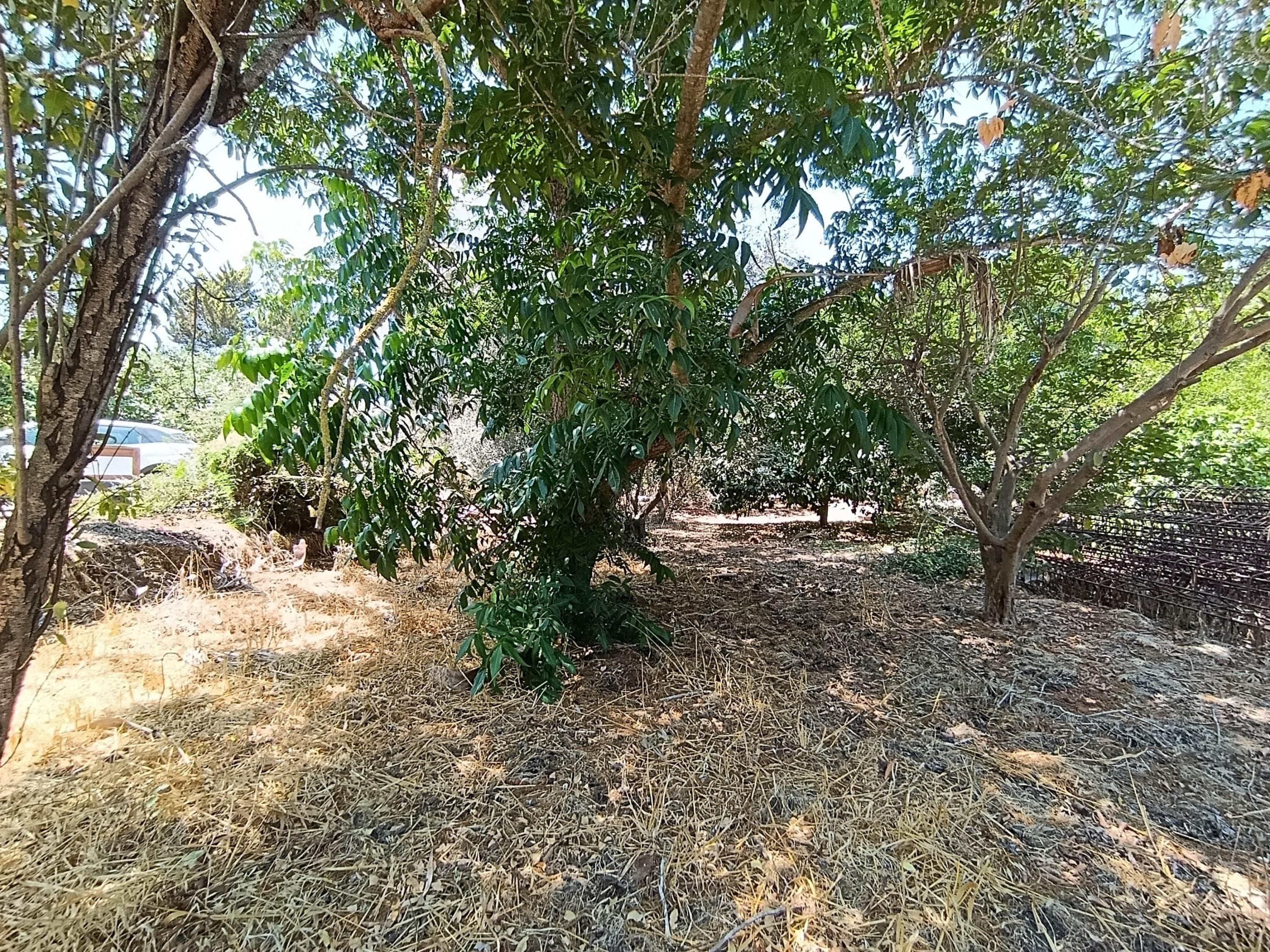 מגרש, תמונה 2