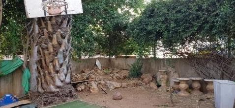 דירת גן 4 חדרים, תמונה 5
