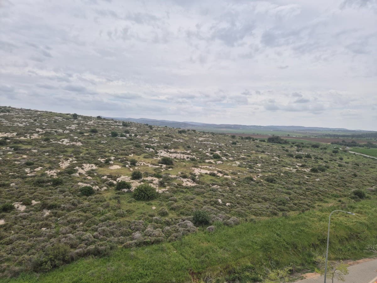 בניין משרדים 7000 מ״ר, תמונה 2