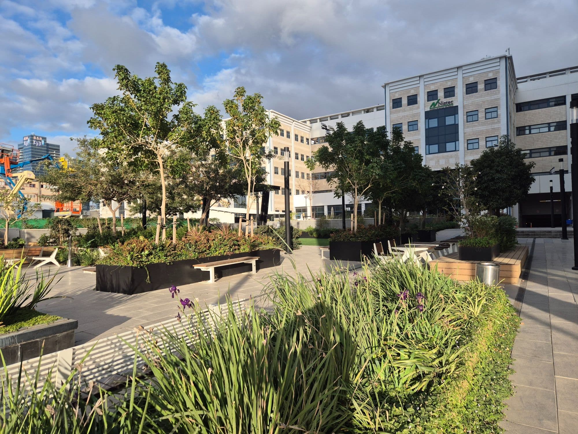 משרד 300 מ״ר, תמונה 4