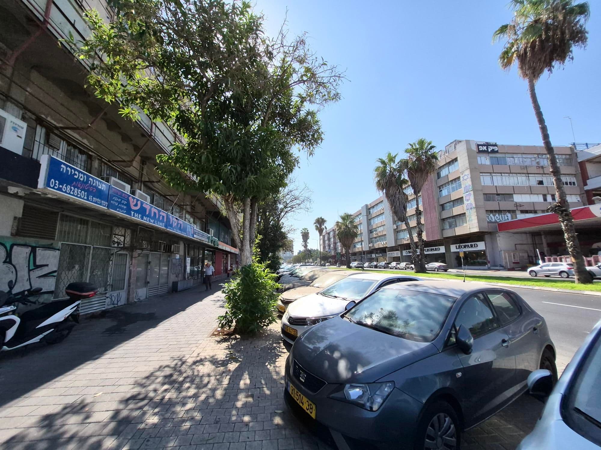 חנות 186 מ״ר, תמונה 3