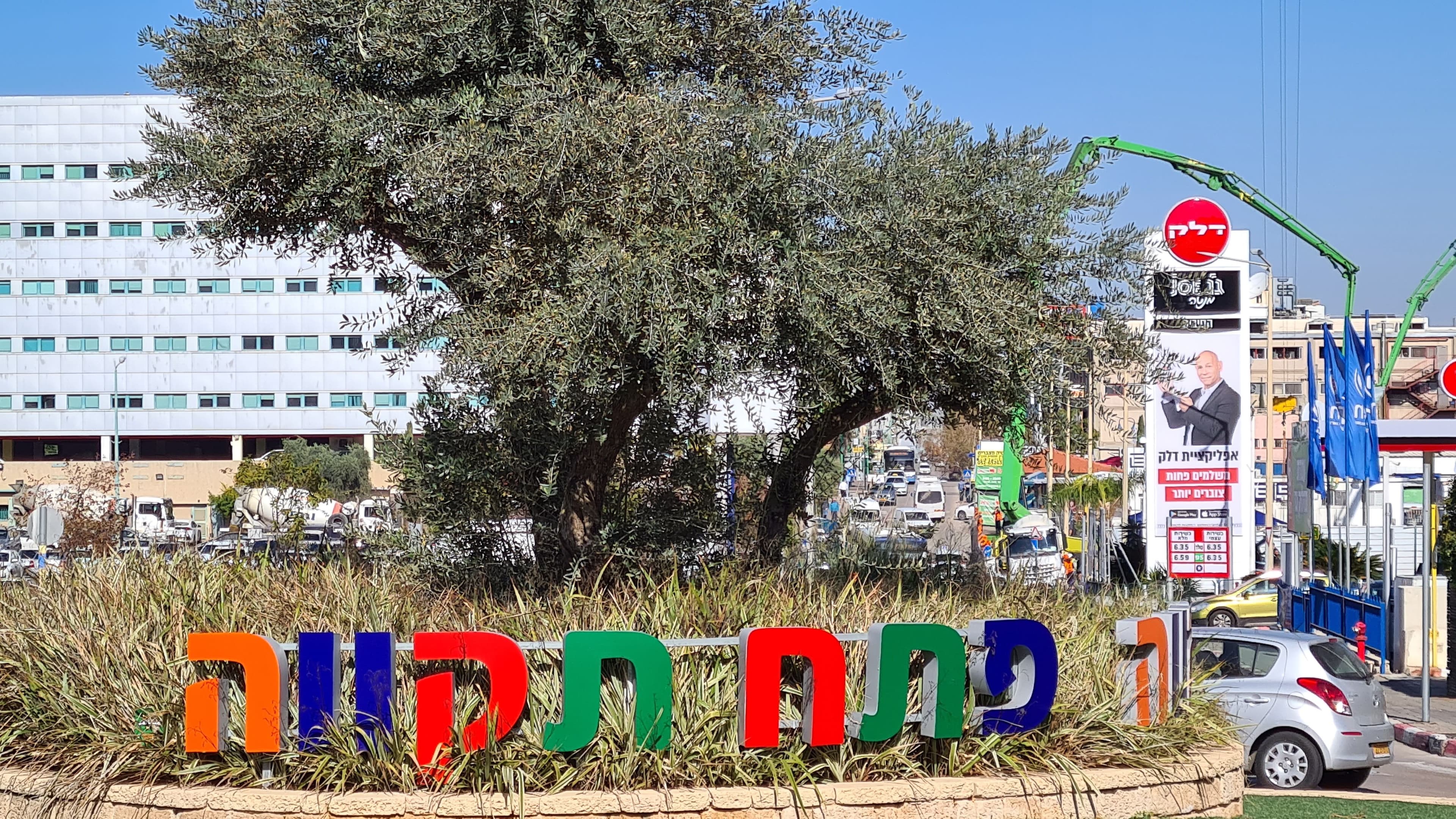 מסחרי 240 מ״ר, תמונה 2