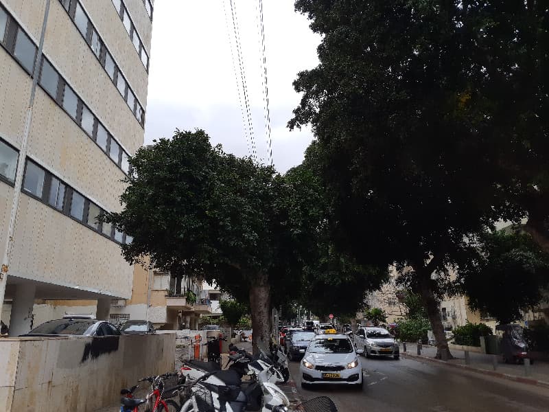משרד 40 מ״ר, תמונה 2