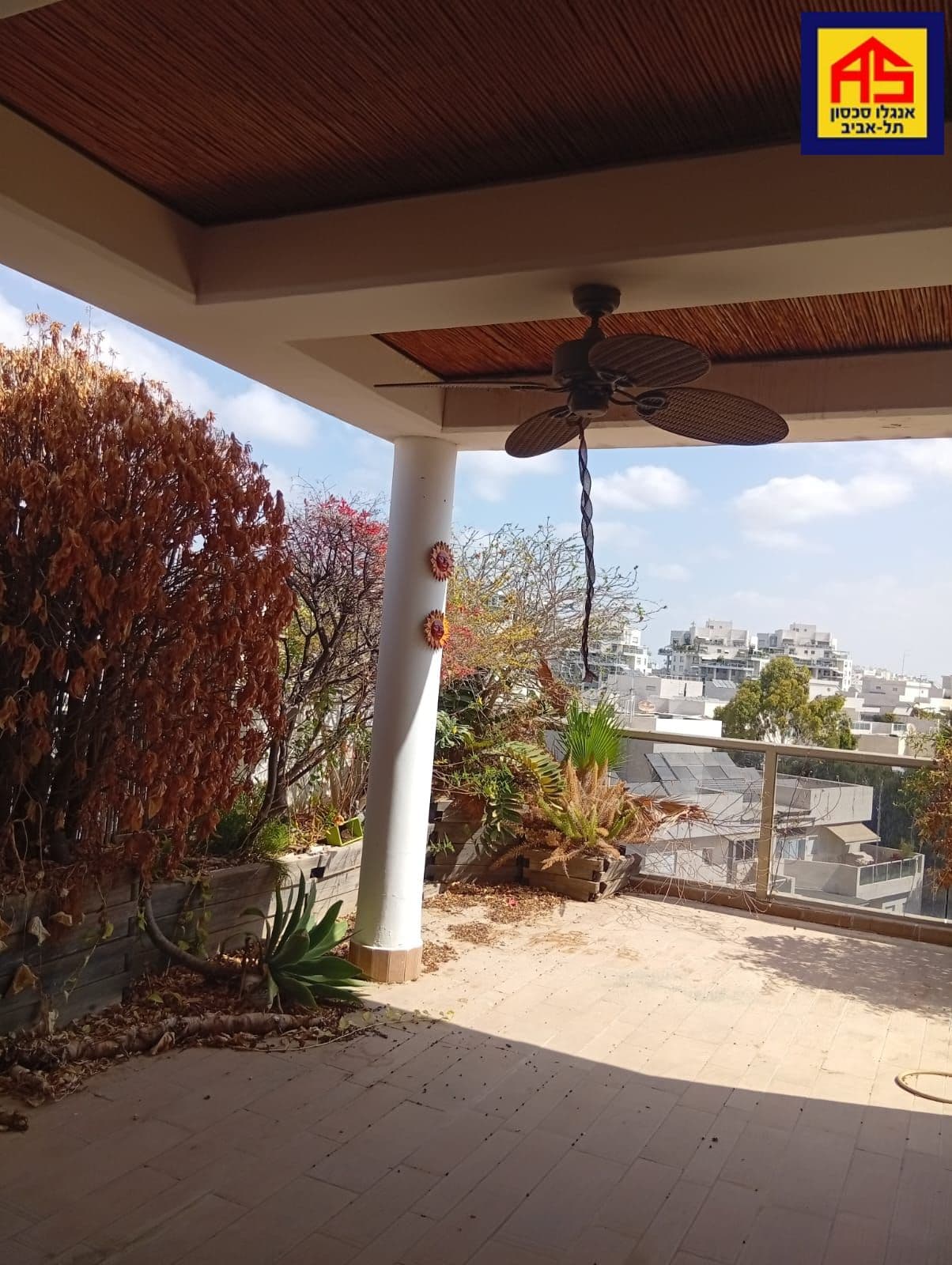 פנטהאוז 3.5 חדרים, תמונה 4