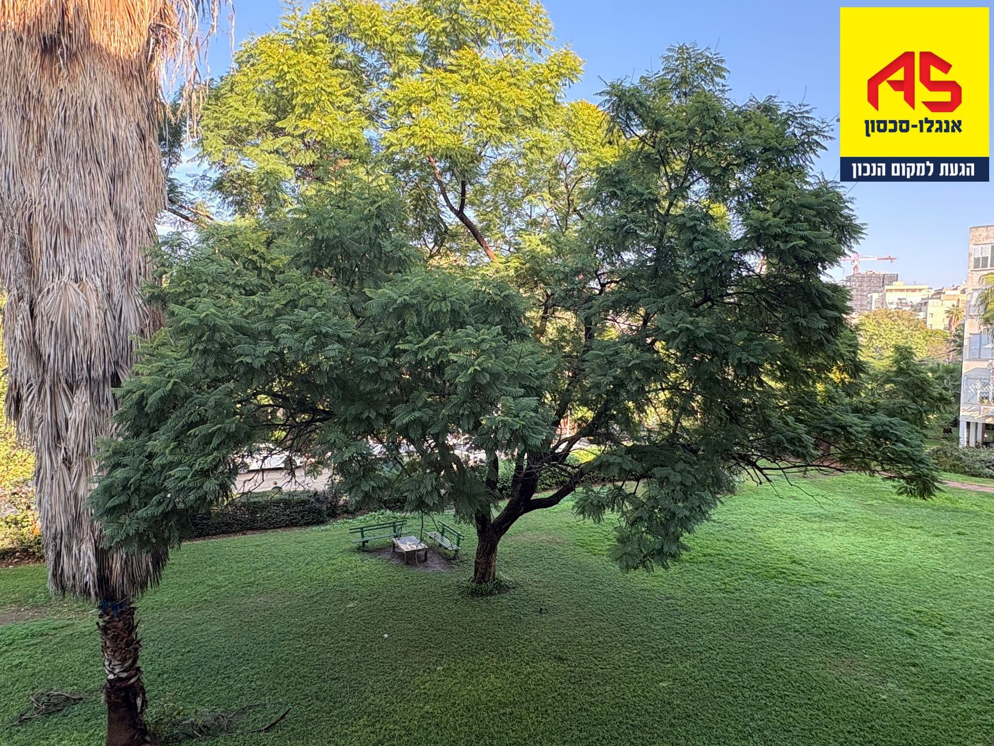 דירה 3.5 חדרים, תמונה 1