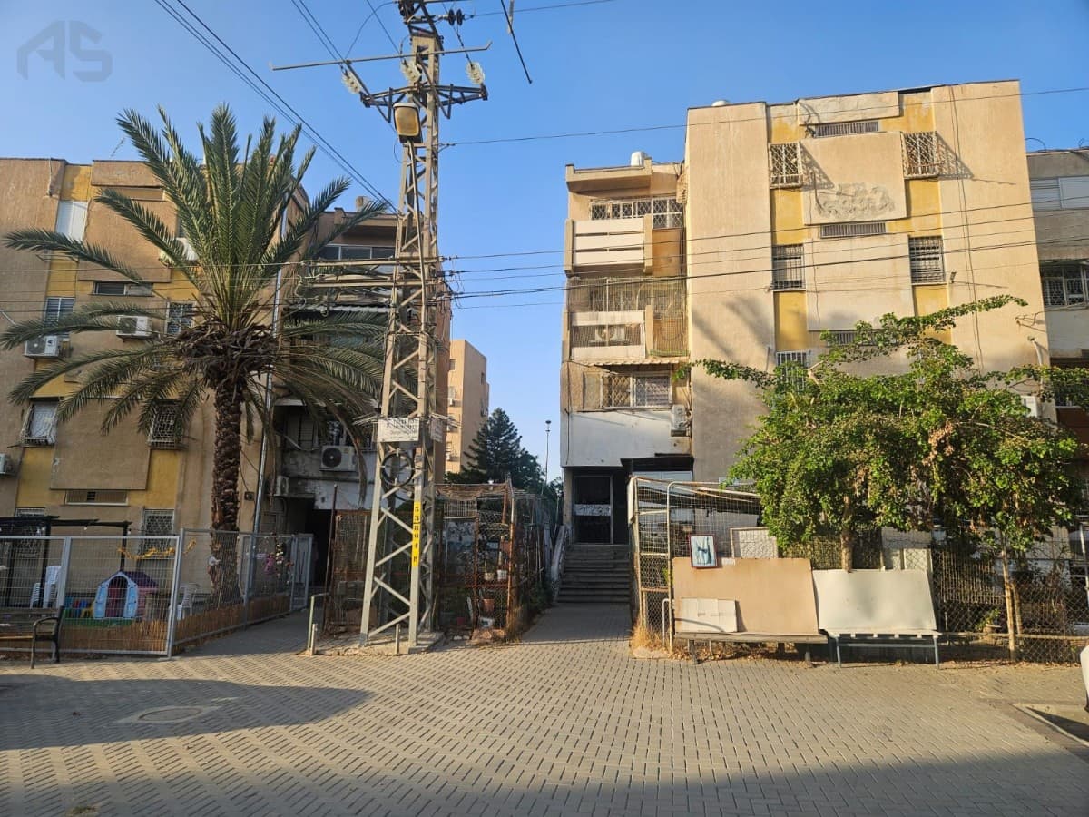 דירה 3 חדרים, תמונה 4