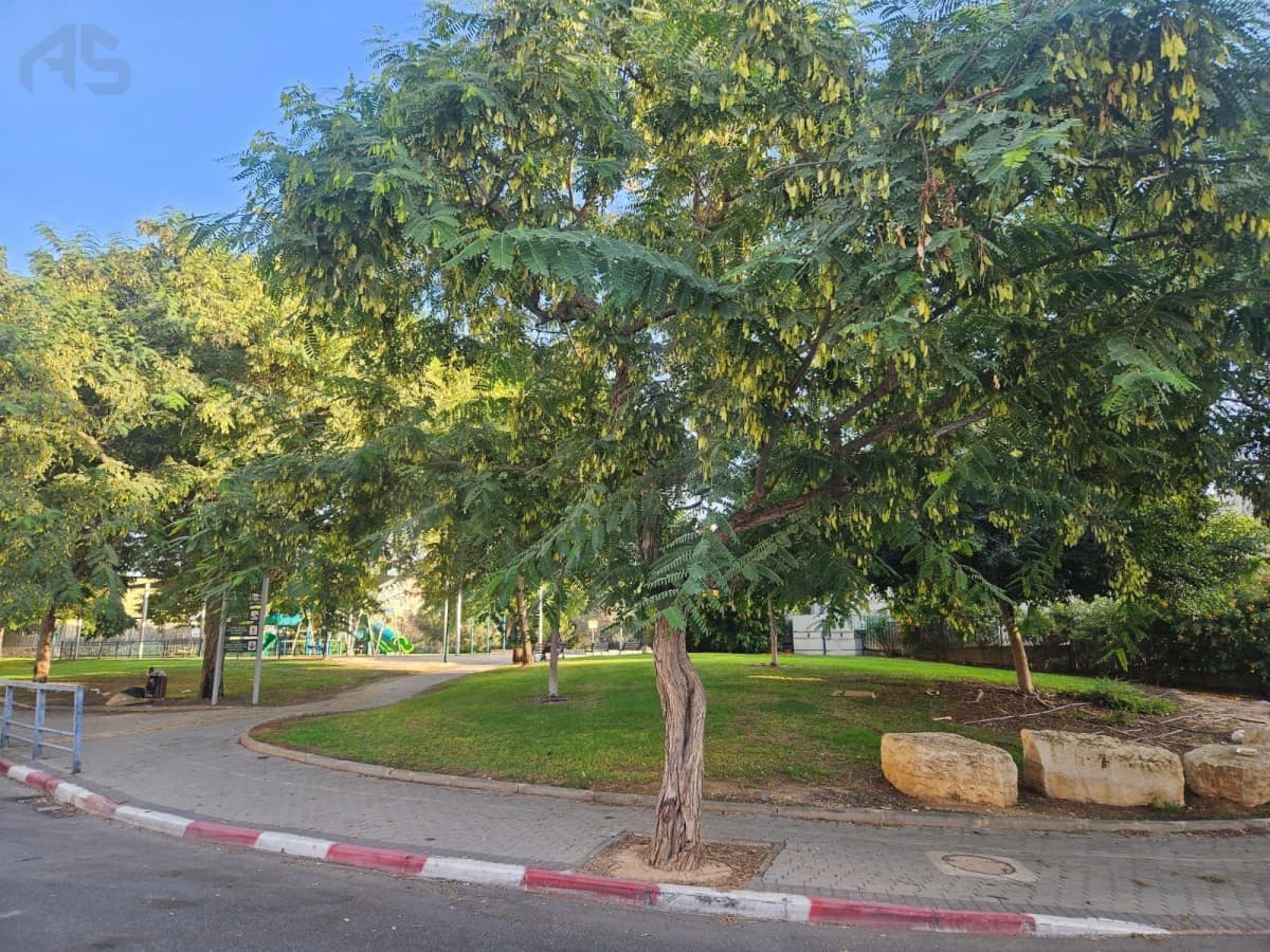 דירה 3 חדרים, תמונה 5