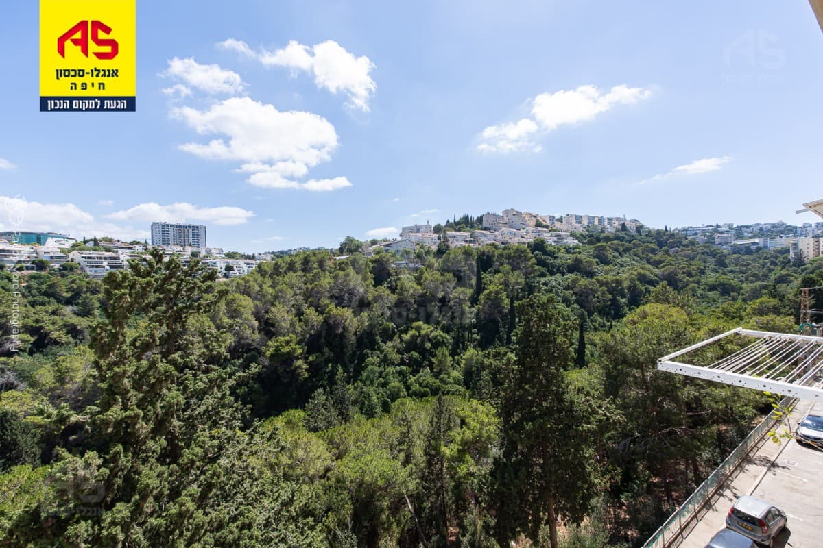 דירה 3.5 חדרים, לאון בלום, הדר עליון, חיפה