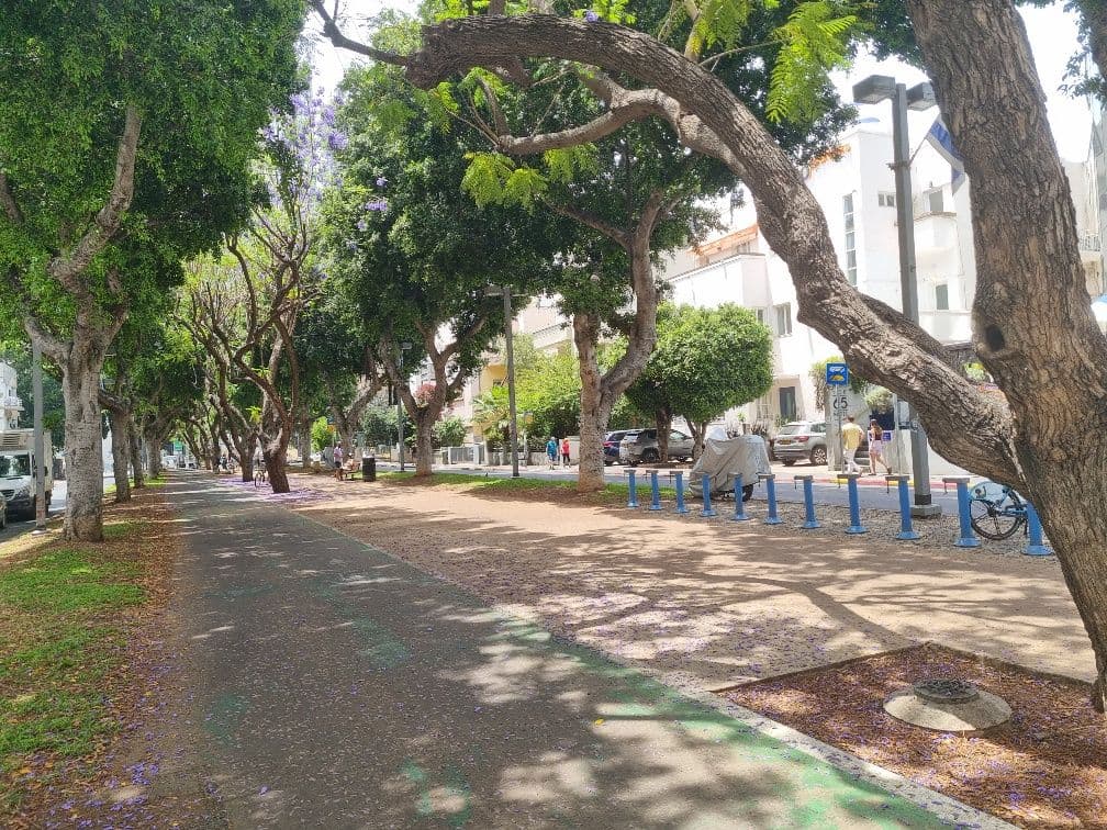 משרד 460 מ״ר, שדרות רוטשילד, לב תל אביב, תל אביב יפו